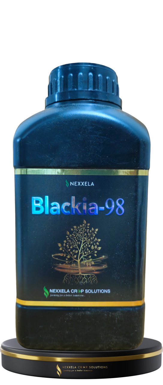 blackia-98 Humic acid Potassium Humate