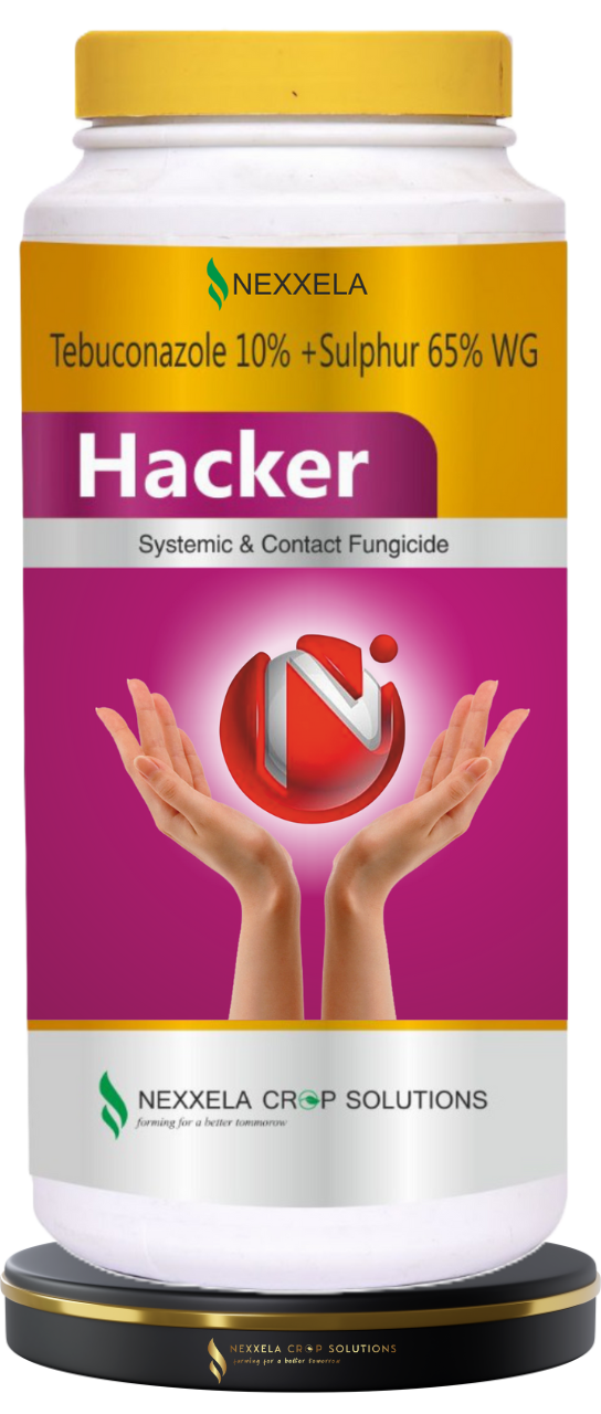 Hacker Tebuconazole 10%+Sulphur 65% WG Systemic & Contact Fungicide Chemical