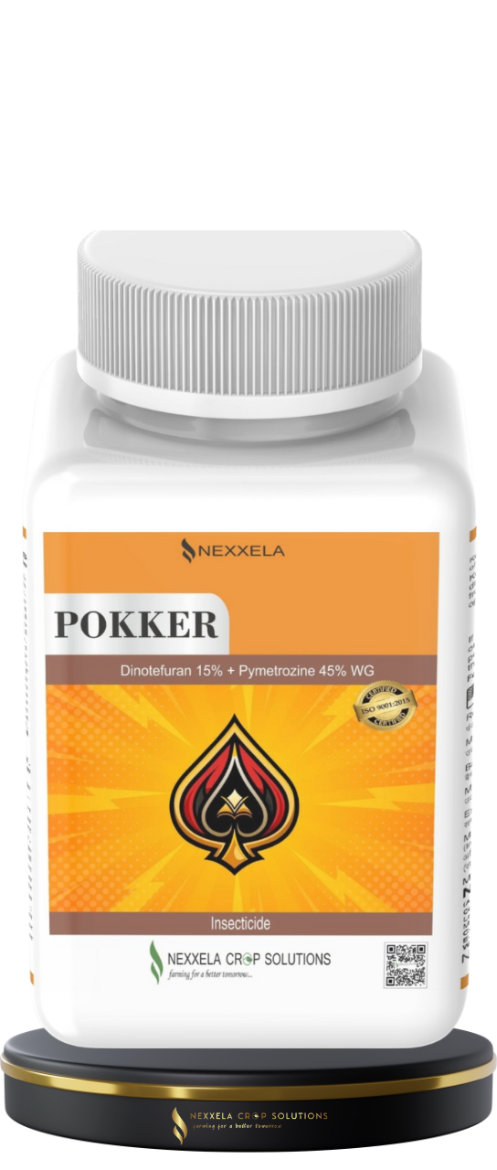 POKKER Dinotefuran 15% + Pymetrozine 45% WG INSECTICIDE