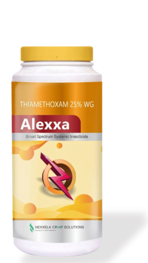 ALEXXA - Thiamethoxam 25% WG - Broad Spectrum Insecticide - Nexxela Crop Solutions
