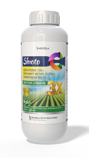 SHIOTO - Azoxystrobin 2.5% + Thiophanate Methyl 11.25% + Thiamethoxam 25% FS - Insecticide + Fungicide - Nexxela Crop Solutions