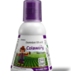 Colawary Chlorantraniliprole 18.5% w/w SC Insecticide