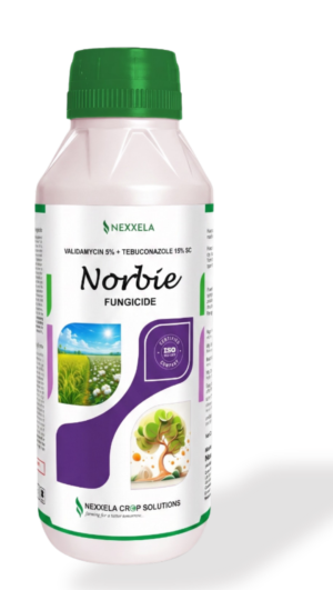 NORBIE - Validamycin 5% + Tebuconazole 15% SC - NEXXELA CROP SOLUTIONS