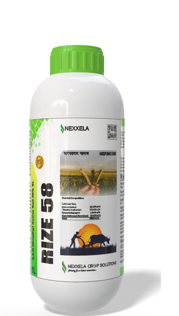 2,4-D Amine Salt 58% SL