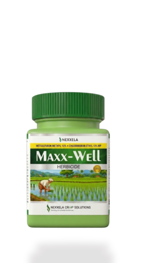 Maxxwell - Metsulfuron Methyl 10% +Chlorimuron Ethyl 10% WP - HERBICIDE - NEXXELA CROP SOLUTIONS