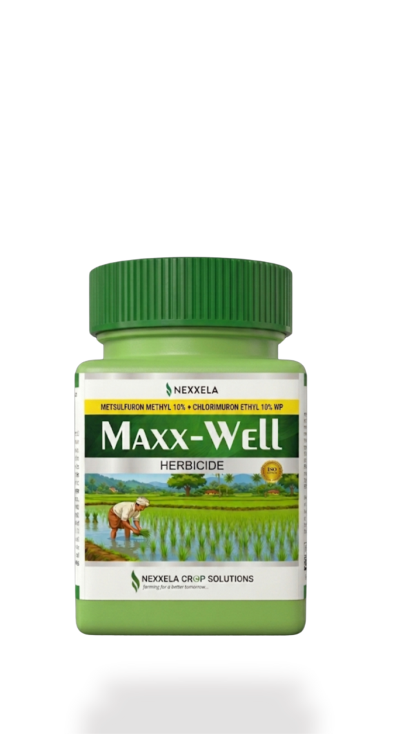 Maxxwell - Metsulfuron Methyl 10% +Chlorimuron Ethyl 10% WP - HERBICIDE - NEXXELA CROP SOLUTIONS