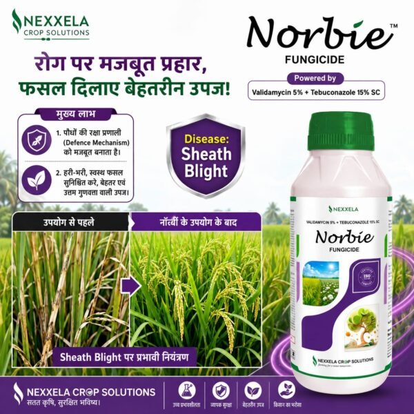 norbie
